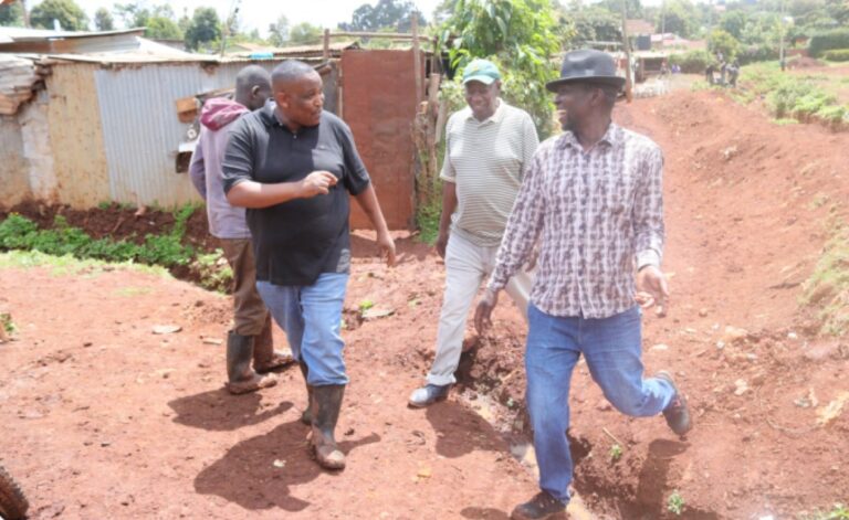 James taking a walk in Kanjeru (Shauri Yako) slum, his childhood home village