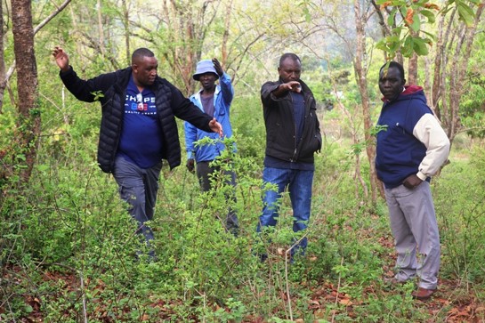 The team surveys the proposed site.