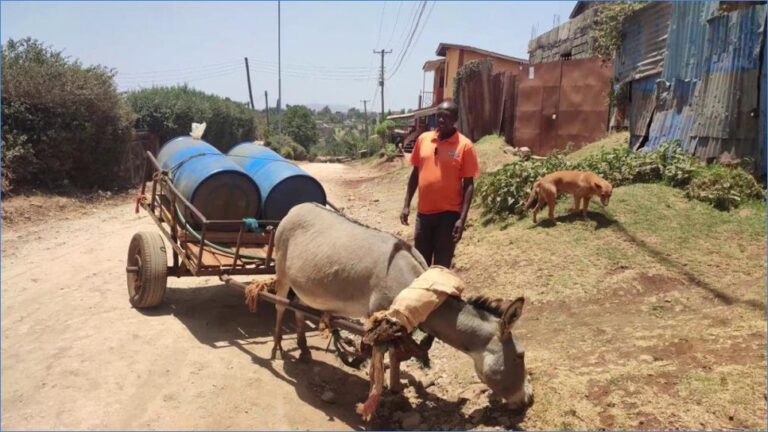 People and livestock once shared the same unsafe water source.